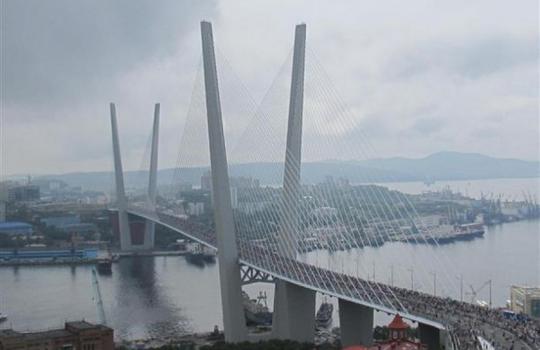 Мониторинг элементов мостового перехода через бухту Золотой Рог и низководного моста в г.Владивостоке