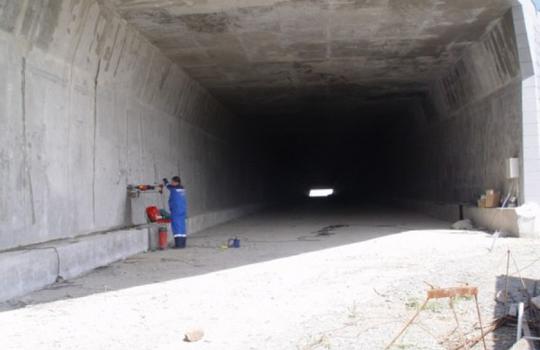 Обследование технического состояния и экспертиза промышленной безопасности автодорожного тоннеля, входящего в состав мостового перехода через бухту Золотой Рог во Владивостоке